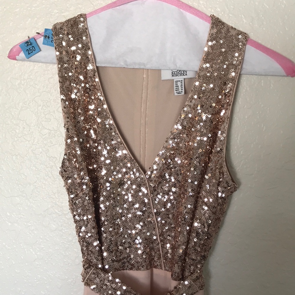 Belle Badgley Mischa Dress